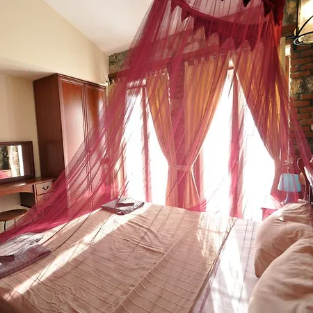 Elma Vilă *